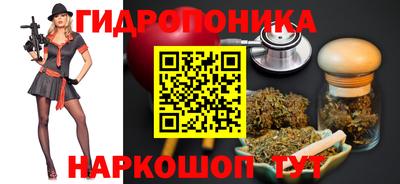эйфоретик Можга