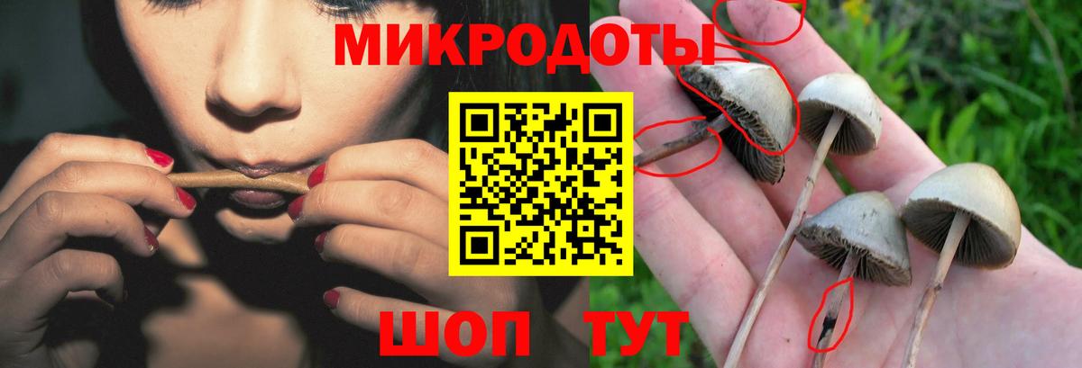 Галлюциногенные грибы ЛСД  Псилоцибиновые грибы Cubensis  Вход с VPN  Черногорск 